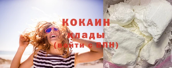 мдпв Краснослободск
