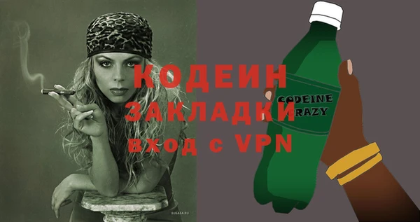 мдпв Краснослободск