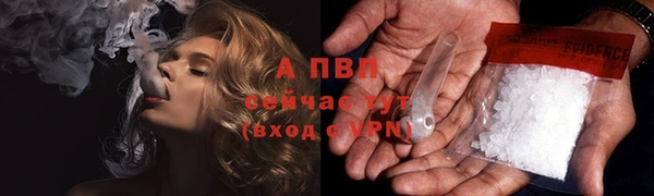 мдпв Краснослободск
