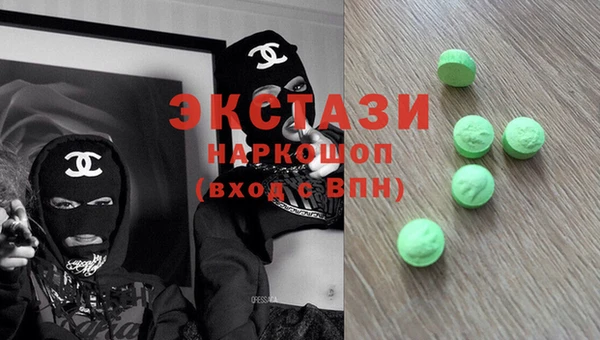 мдпв Краснослободск