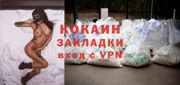 мдпв Краснослободск