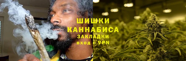 мдпв Краснослободск